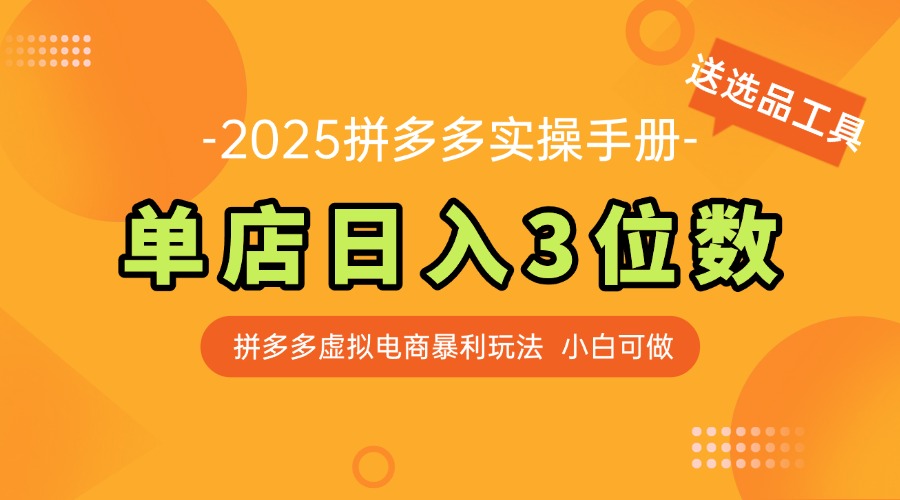 2025年拼多多虚拟店铺实操-小新博客