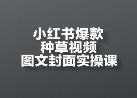 小红书爆款种草视频图文封面实操课，​开店、选品、引流、变现全流程-轻合创