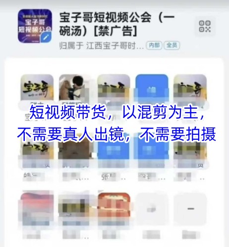 宝子哥头部团队短视频带货，以混剪为主，不需要真人出镜，不需要拍摄【更新6月】-轻合创