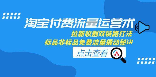 （15135期）淘宝付费流量运营术，拉新收割双链路打法，标品非标品免费流量撬动秘诀-轻合创