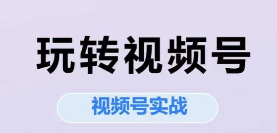 玩转视频号，视频号实战系列课-轻合创