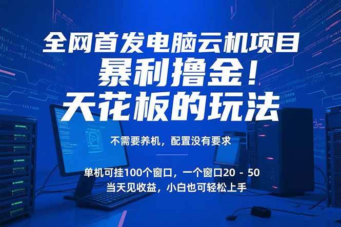 （15323期）电脑云机项目 暴力撸金玩法，不需要养机 配置没有要求 单机100个窗口一…-轻合创
