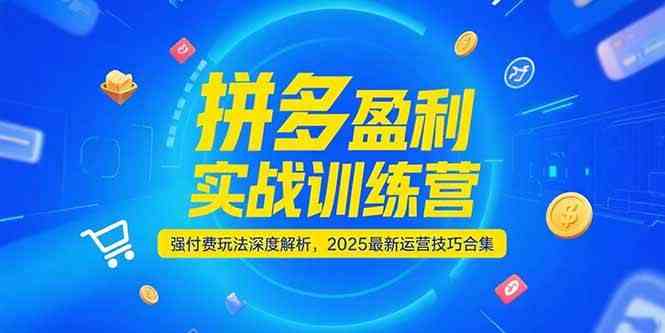 拼多多盈利实战训练营，强付费玩法深度解析，2025最新运营技巧合集-轻合创