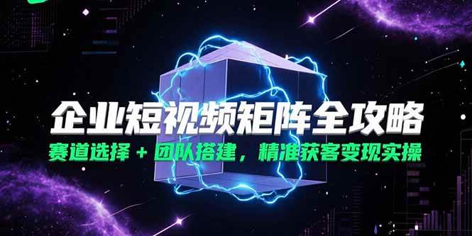 （15242期）企业短视频矩阵全攻略，赛道选择+团队搭建，精准获客变现实操-轻合创