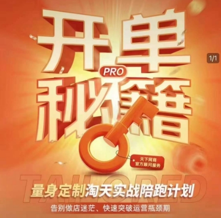淘宝开单秘籍PRO，量身定制淘天实战陪跑计划，告别做店迷茫、快速突破运营瓶颈期（更新6月）-轻合创