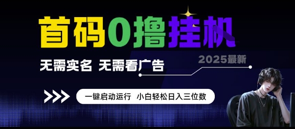 首码0撸挂G项目，无需实名无需看广告 一键启动运行，小白轻松日入三位数【揭秘】-轻合创