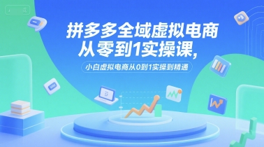 拼多多全域虚拟电商从零到1实操课，小白虚拟电商从0到1实操到精通-轻合创