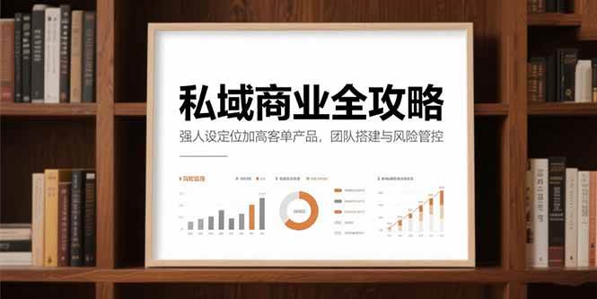 （15294期）私域商业全攻略，强人设定位加高客单产品，团队搭建与风险管控-轻合创