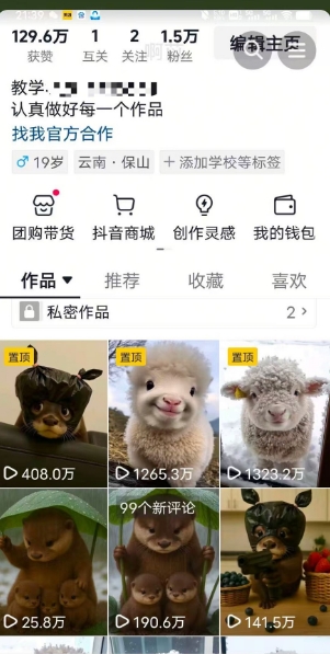 抖音65W博主AI萌宠课程，新赛道流量大，原创+二创，全套课程+提示词-轻合创