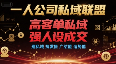 一人公司私域联盟，高客单私域，强人设成交，建私域 搞发售 广结盟 造势能-轻合创