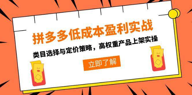（15143期）拼多多低成本盈利实战，类目选择与定价策略，高权重产品上架实操-轻合创