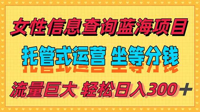 （15216期）稳定日入300＋，小众信息查询蓝海项目，全程懒人式托管，解放你的时间-轻合创