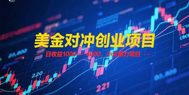 （15187期）美金对冲创业项目，日收益 1000 – 4000，小众暴力项目-轻合创