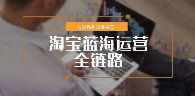 （15160期）淘宝蓝海运营全链路，从选品到流量变现，小类目突围完整方案-轻合创