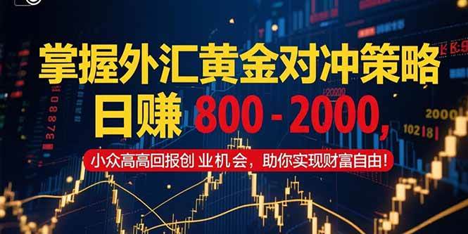 （15198期）掌握外汇黄金对冲策略，日赚 800 – 2000，小众高回报创业机会，助你实…-轻合创