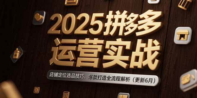 （15235期）2025拼多多运营实战：店铺定位选品技巧，爆款打造全流程解析（更新6月）-轻合创